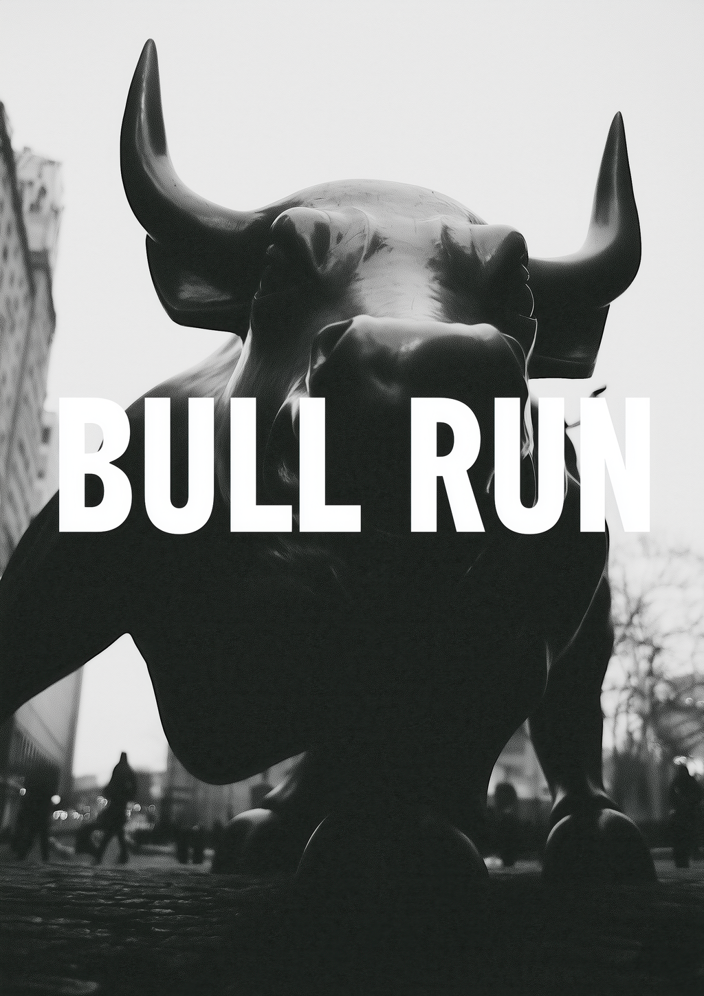 Bull Run – Charging Bull Wall Street monochrom frontal | Cinematic-Foto-Optik – eleganter Kunstdruck