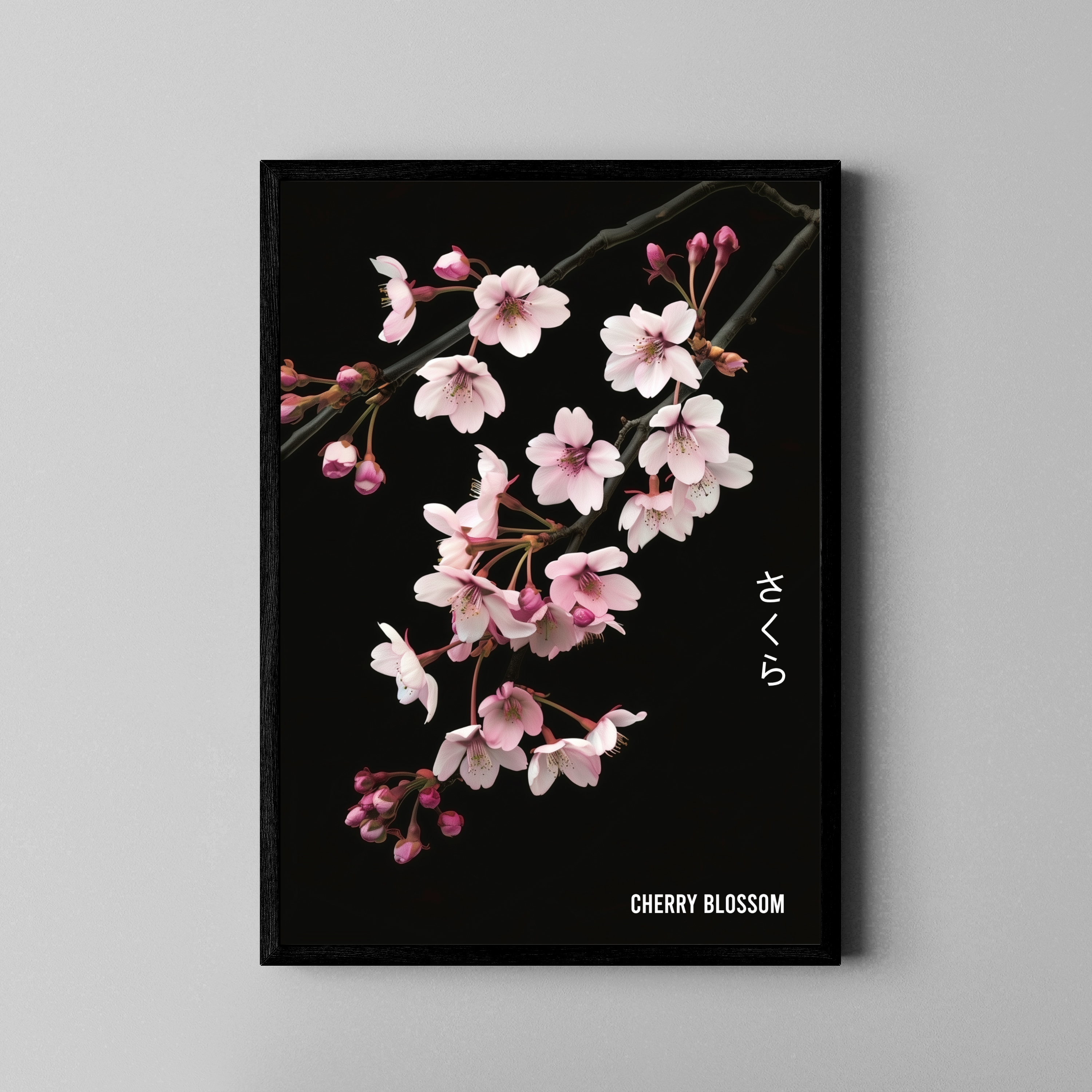 Sakura Kirschblüten auf schwarzem Hintergrund mit japanischem Schriftzug – Poster im schwarzen Rahmen