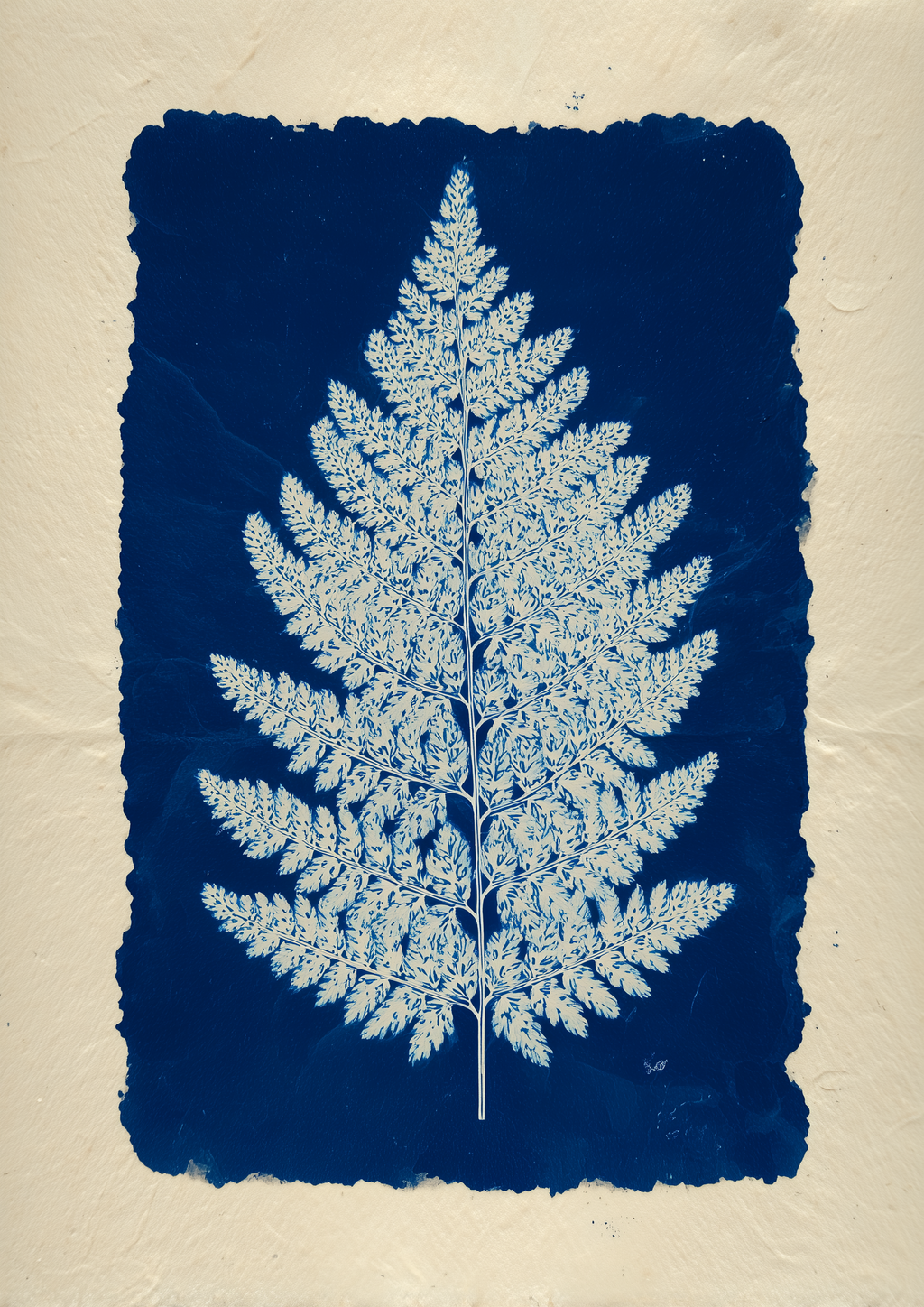 Farnblatt als Cyanotypie auf Büttenpapier – botanischer Fine Art Kunstdruck
