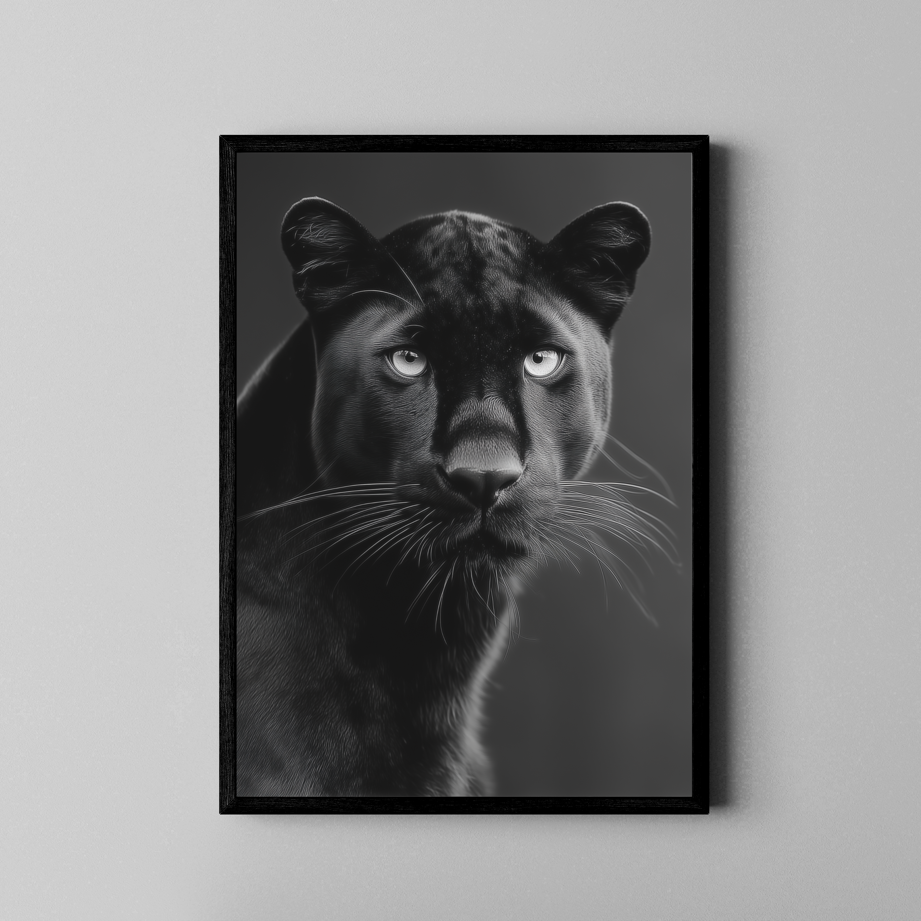 S/W Tierportrait Kunstdruck – schwarzer Panther mit intensivem Blick vor dunklem Hintergrund – Poster im schwarzen Rahmen