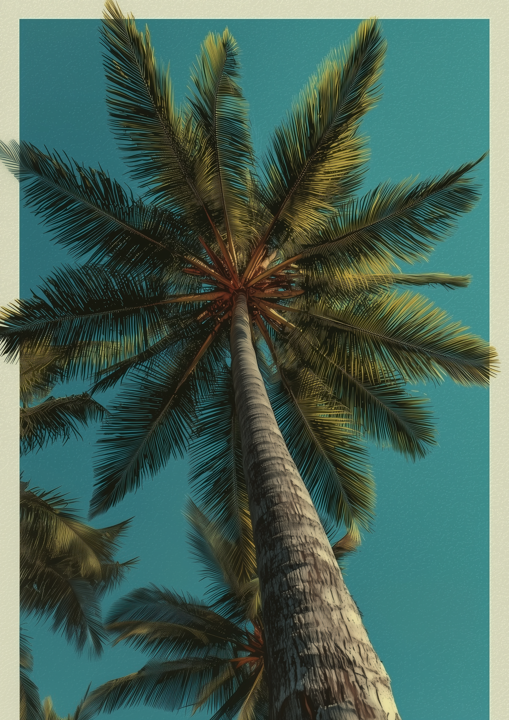Palme vor türkisem Himmel – tropische Fotografie Fine Art Kunstdruck