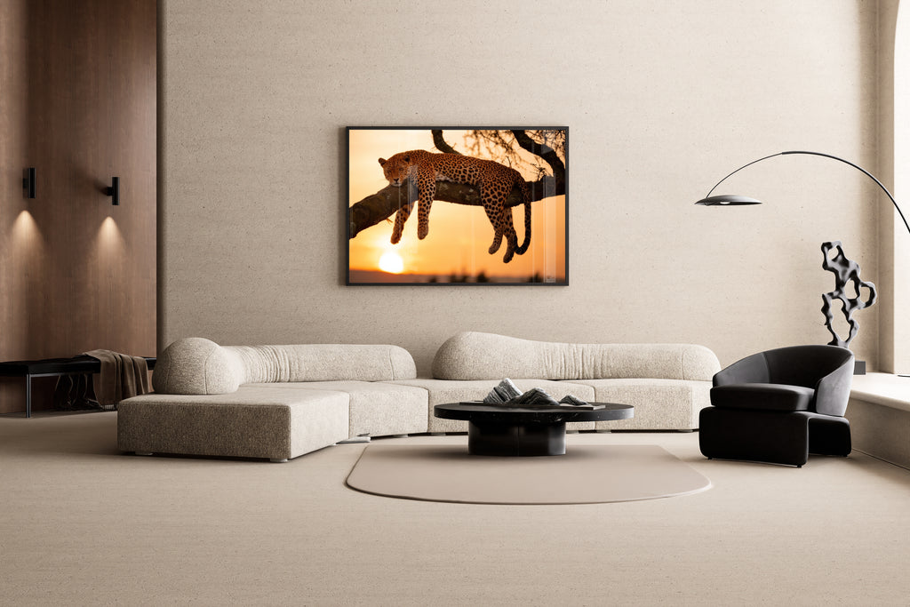 Paws and Reflect – Leopard Savannah-Sonnenuntergang Tierportrait | Naturfoto-Kunstdruck – Wandbild im modernen Wohnzimmer
