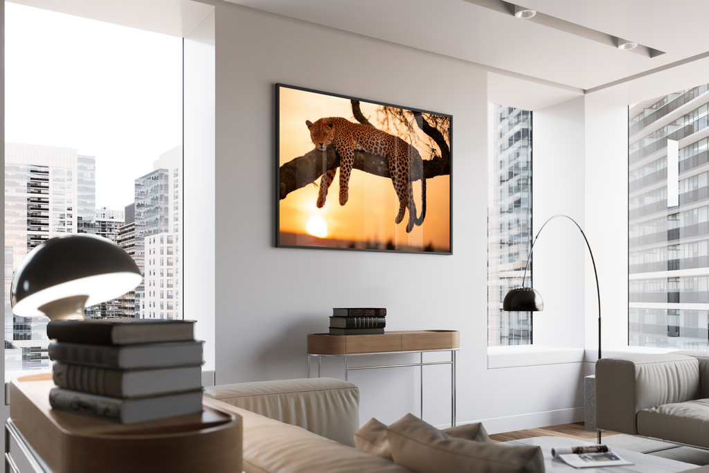 Paws and Reflect – schlafender Leopard Wanddekoration Afrika | Wildlife-Fotodruck – gerahmtes Poster kaufen