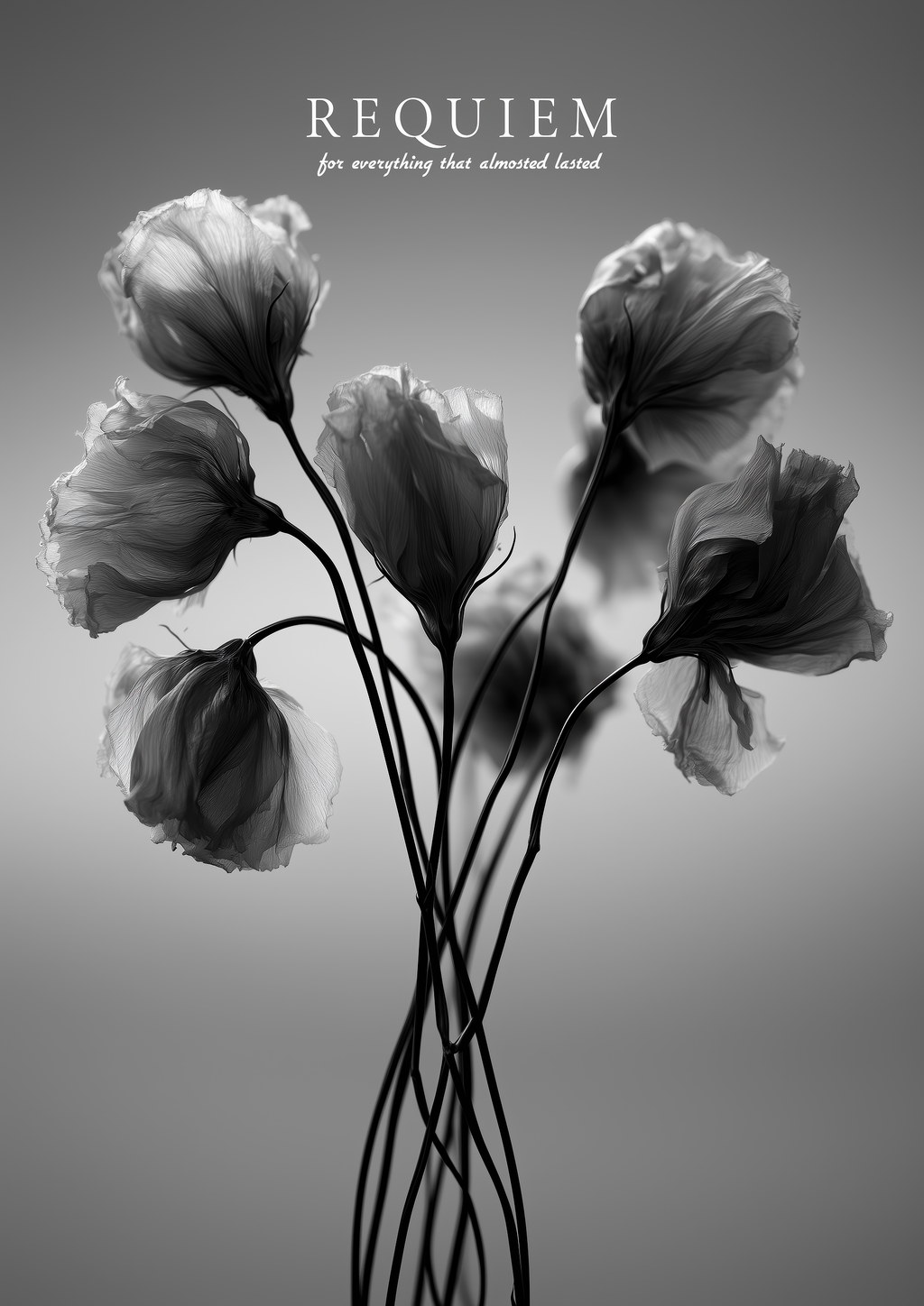 Requiem – Mohnblumen monochrom schwebend grau | Botanische-Foto-Optik – eleganter Kunstdruck