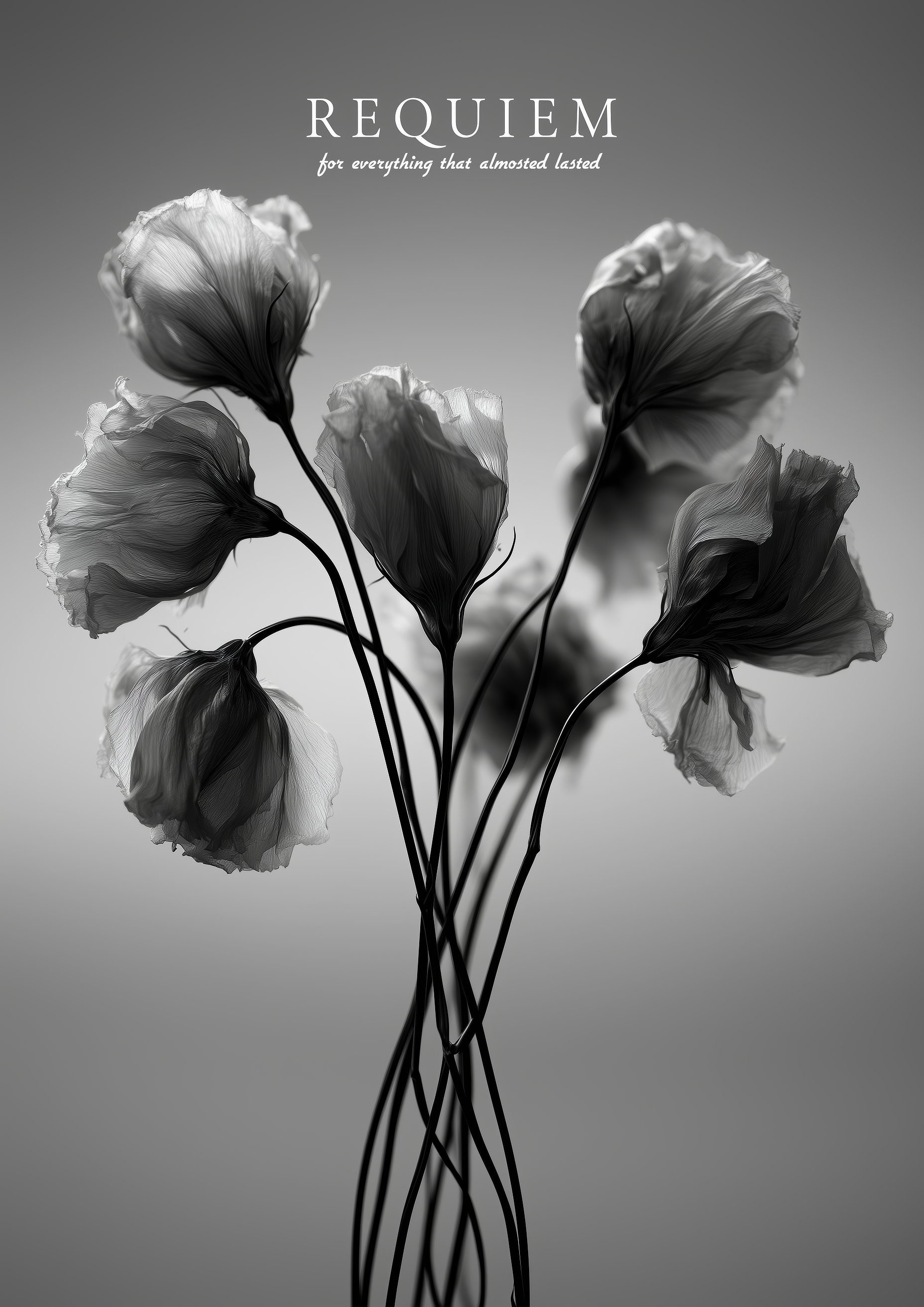 Requiem – Mohnblumen monochrom schwebend grau | Botanische-Foto-Optik – eleganter Kunstdruck